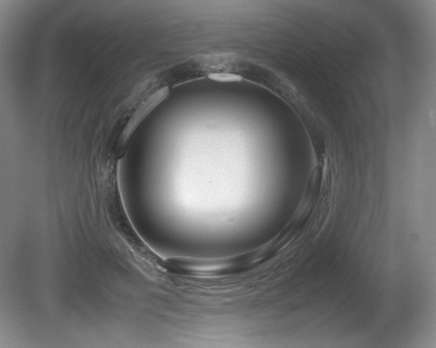 X0000081610601200701151407