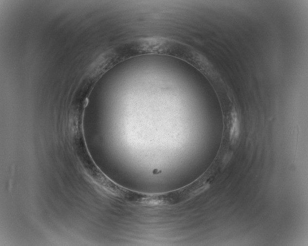 X0000081610602200701151407