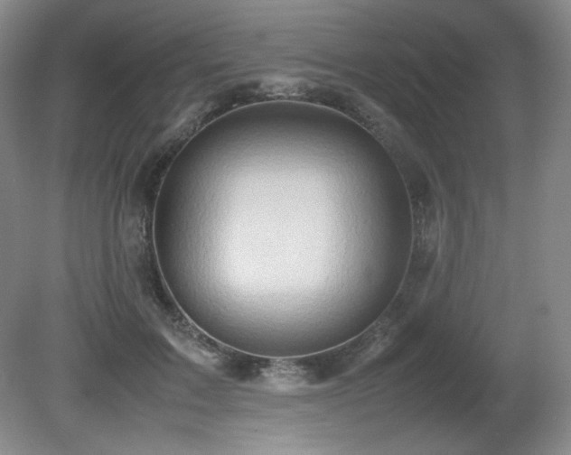 X0000081610603200701151407