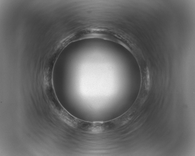 X0000081610604200701151407