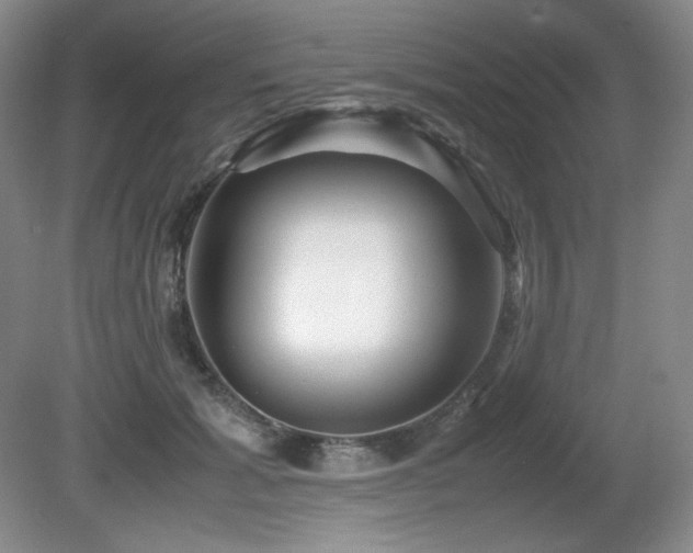 X0000081610605200701151407