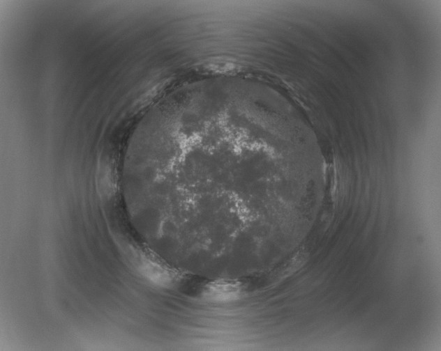 X0000081610606200701151407