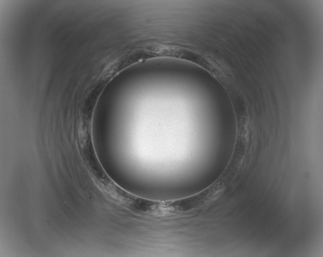 X0000081610607200701151407