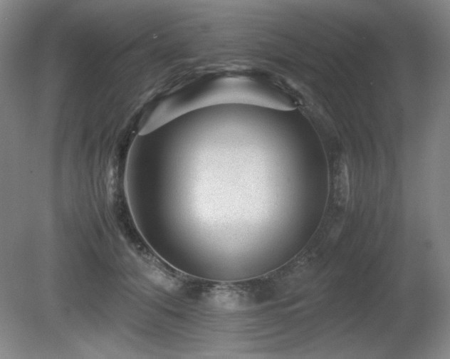 X0000081610608200701151407