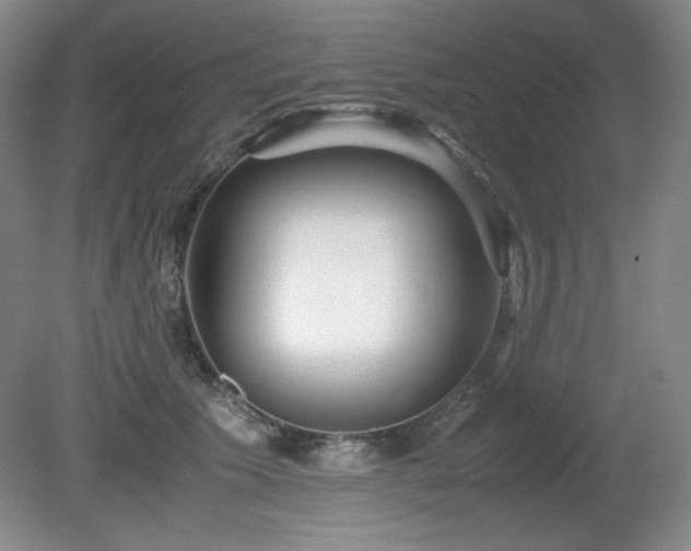 X0000081610609200701151407