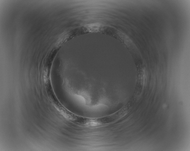 X0000081610610200701151407