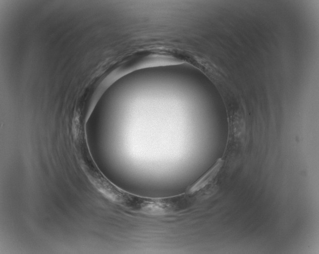 X0000081610611200701151407