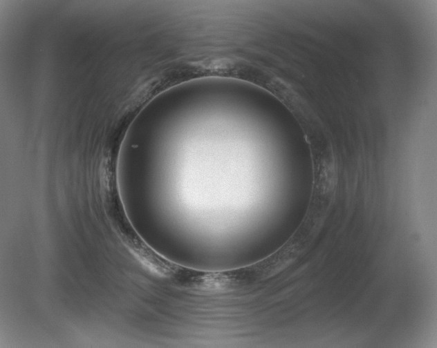 X0000081610612200701151407