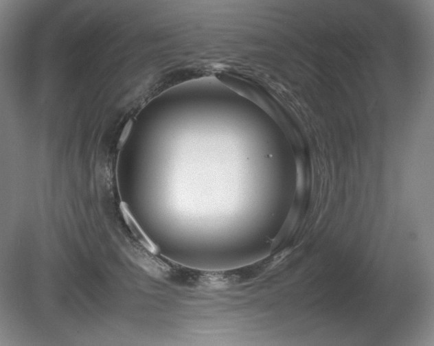 X0000081610613200701151407