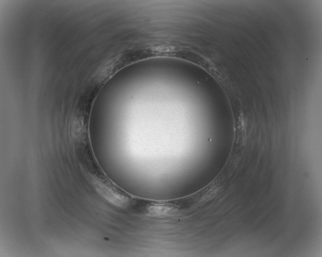 X0000081610614200701151407