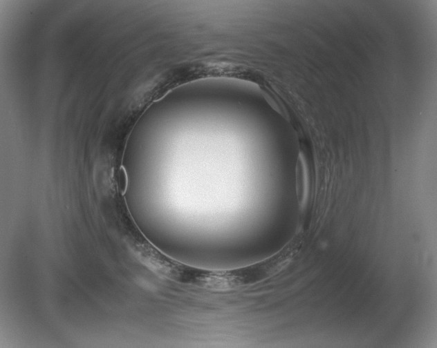 X0000081610615200701151407