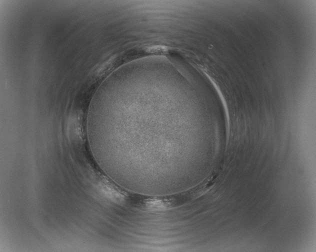 X0000081610616200701151407