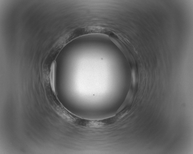 X0000081610617200701151407