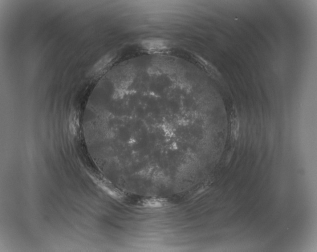 X0000081610618200701151407