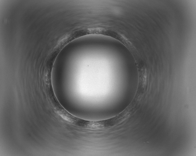 X0000081610619200701151407