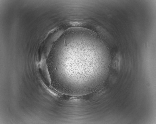 X0000081610620200701151407