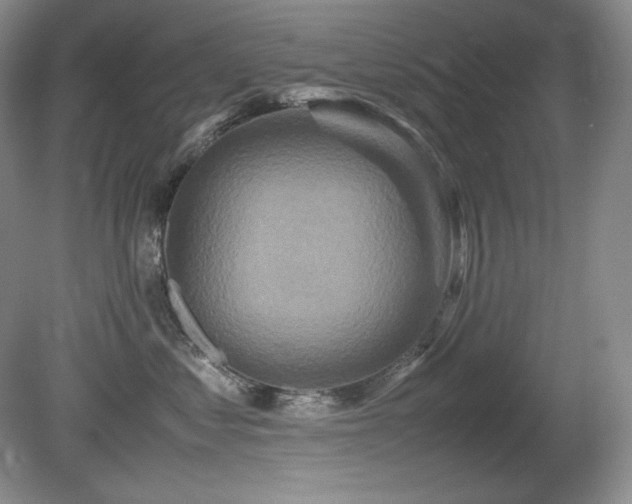 X0000081610621200701151407