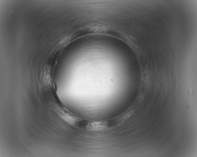 X0000081610622200701151407