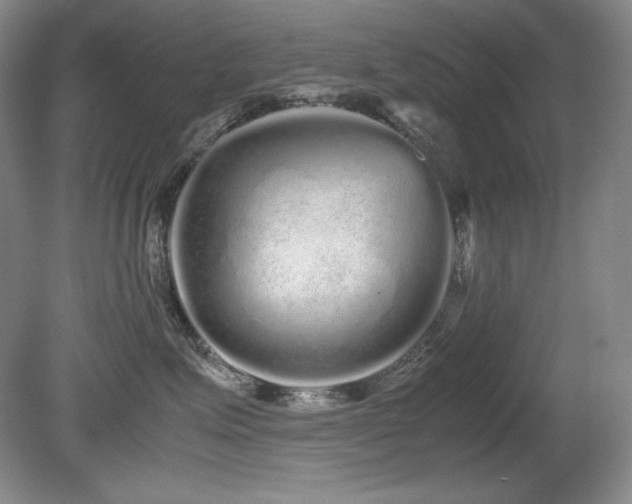 X0000081610623200701151407