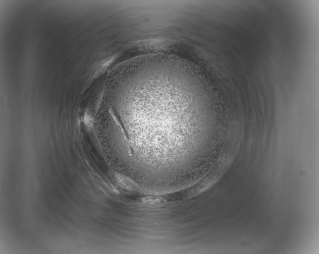 X0000081610624200701151407