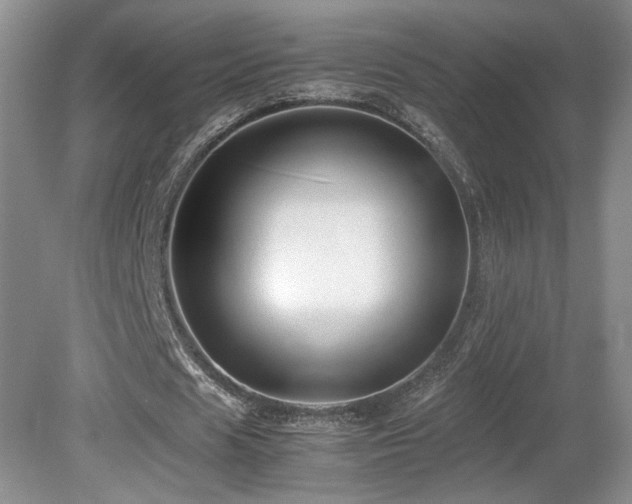 X0000081610625200701151406