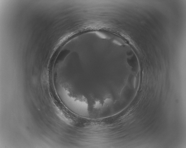 X0000081610626200701151406