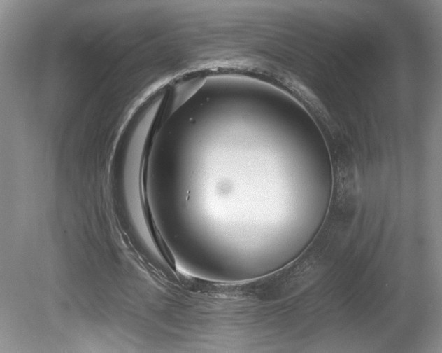 X0000081610628200701151406