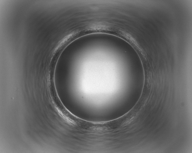 X0000081610629200701151406