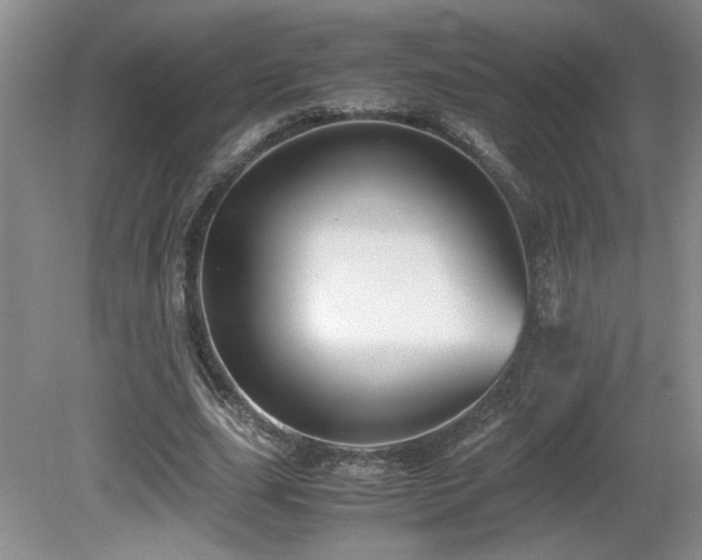 X0000081610631200701151406