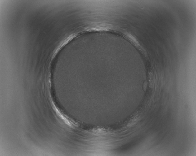 X0000081610634200701151406