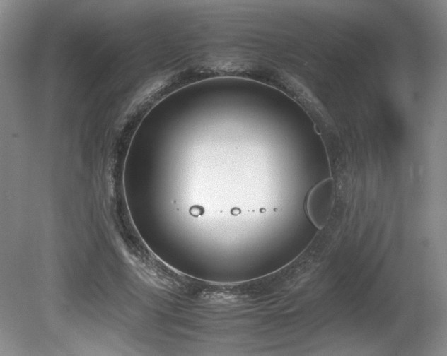 X0000081610635200701151406