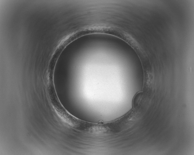 X0000081610636200701151406