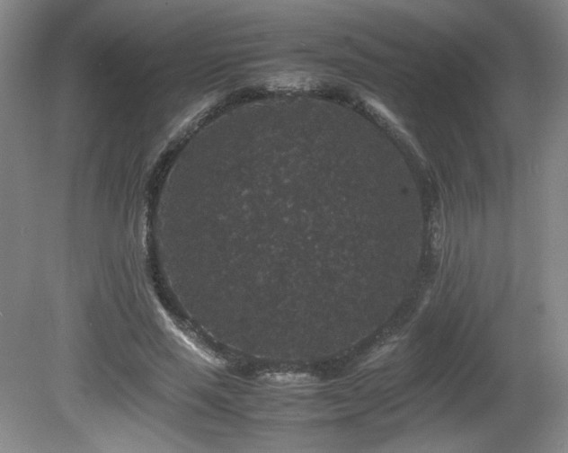 X0000081610637200701151406