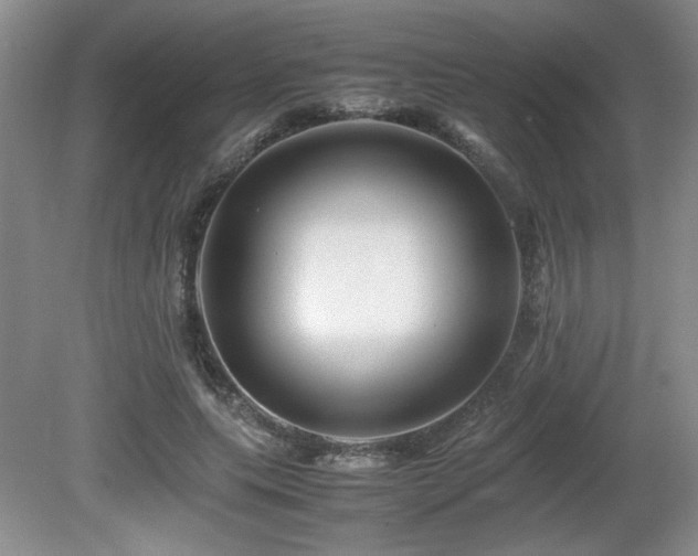 X0000081610639200701151406