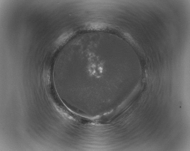 X0000081610640200701151406