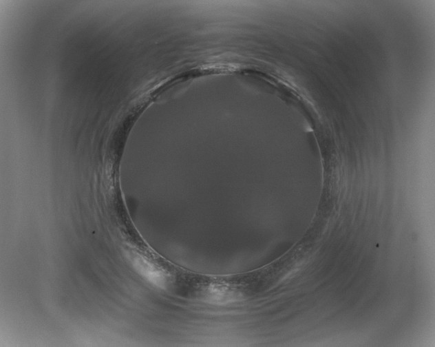 X0000081610641200701151406