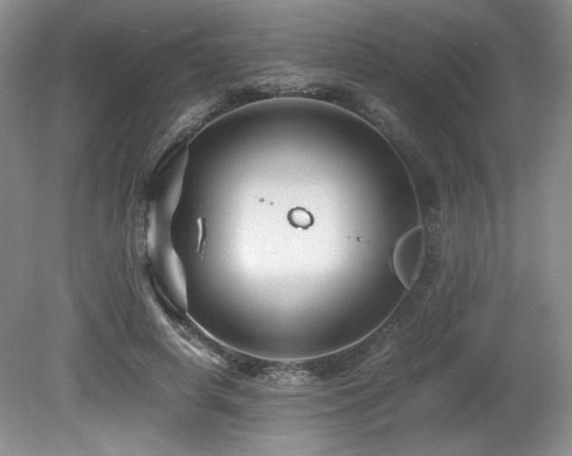 X0000081610642200701151406