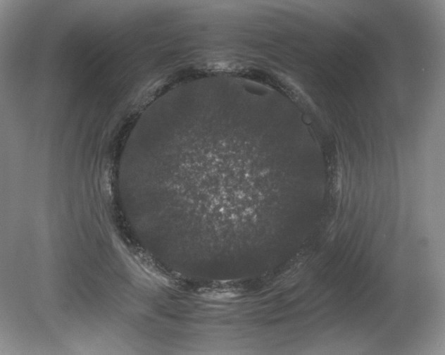 X0000081610643200701151406