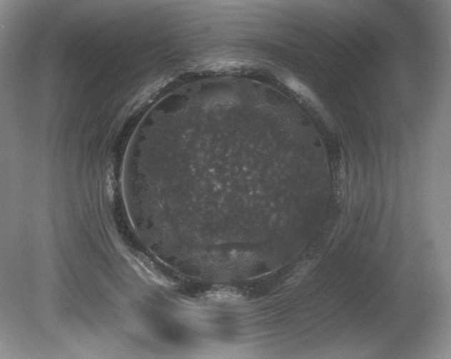 X0000081610644200701151406