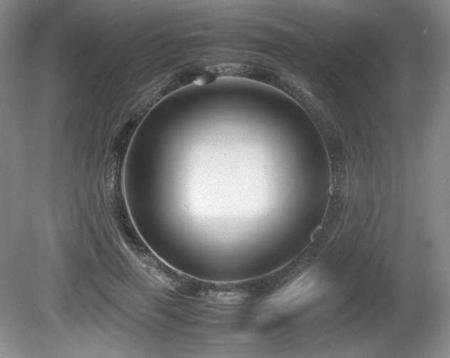 X0000081610645200701151406