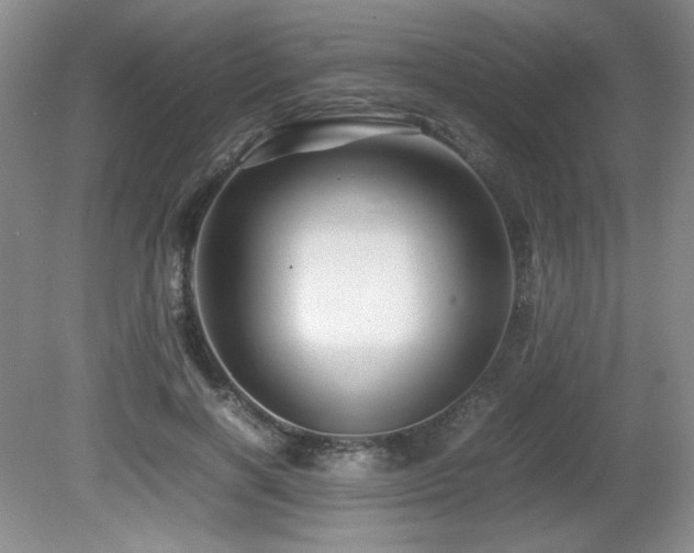 X0000081610646200701151406