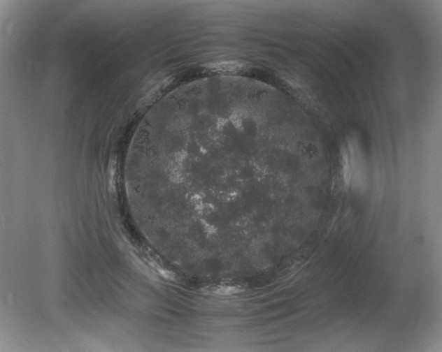 X0000081610647200701151406