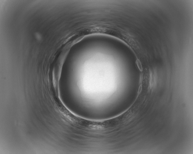 X0000081610649200701151406