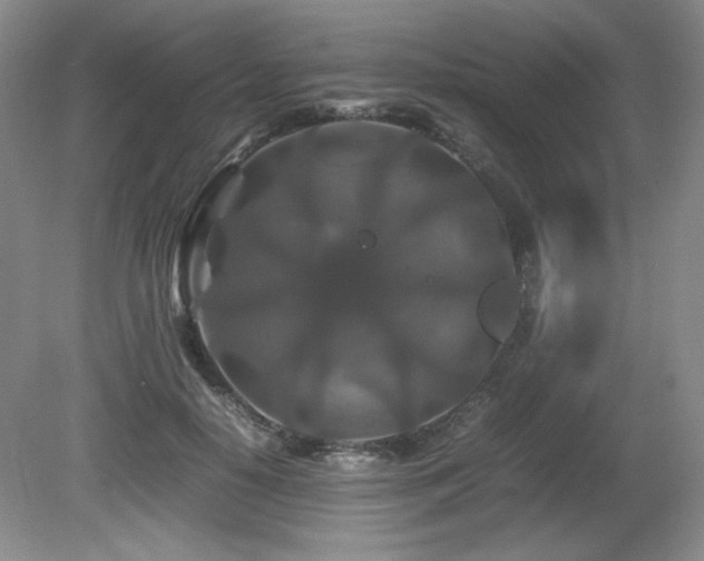 X0000081610650200701151406