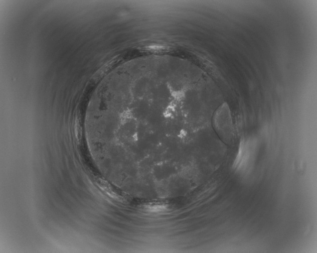 X0000081610651200701151406