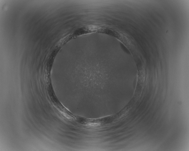 X0000081610653200701151406