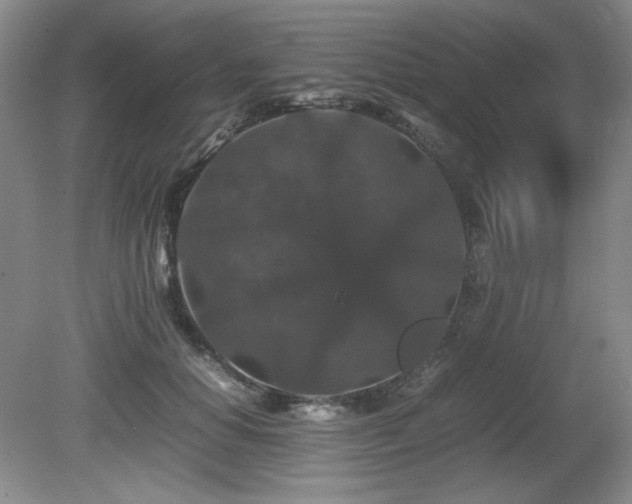 X0000081610654200701151406