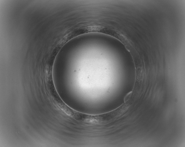 X0000081610655200701151406