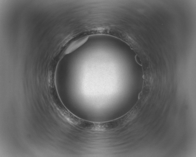 X0000081610656200701151406