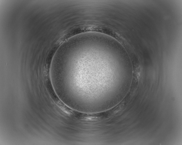 X0000081610657200701151406